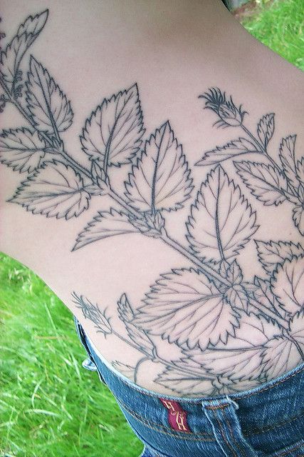 stinging nettle tattoo Nettle Tattoo, Rock Etching, Line Drawing Tattoos, Plant Illustrations, Botanical Line Drawing, Nature Tattoo, Botanical Drawing, Rabbit Tattoos, Stinging Nettle