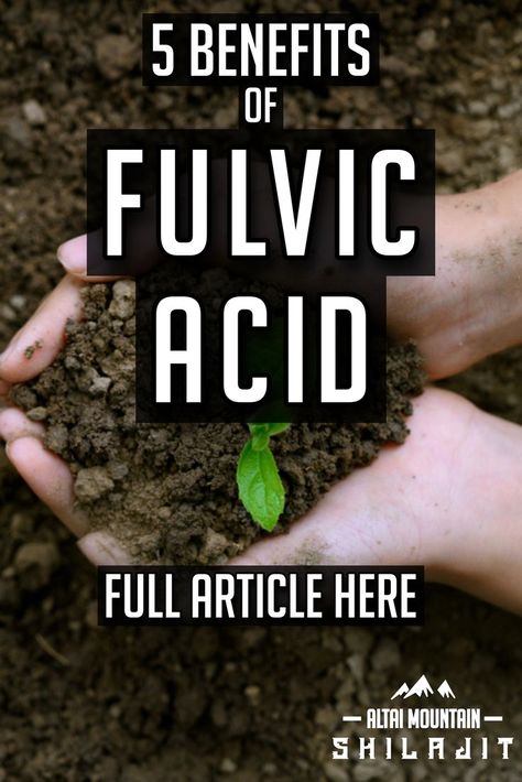 hands scooping up soil with a green shoot. text reads '5 benefits of fulvic acid' full article here Fulvic Minerals Benefits, Fulvic Acid Benefits, Amino Acids Benefits, Shilajit Benefits, Humic Acid, Fulvic Acid, Body Cells, Alpha Lipoic Acid, Learning Techniques