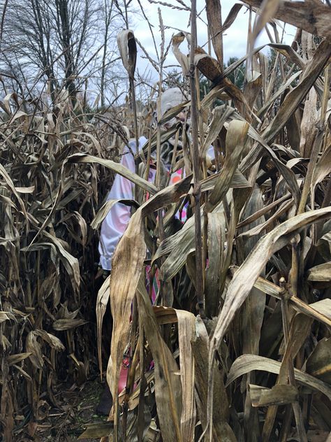 Clown, creepy, corn stalks, Halloween, corn maze, corn maze ideas, stalkers, Halloween decorations, scary Halloween Corn Maze Aesthetic, Haunted Corn Maze Ideas, Scary Corn Maze, Corn Maze Ideas, Halloween Decorations Scary, Maze Ideas, Clown Creepy, Scary Maze, Halloween Library