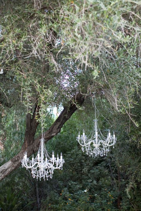 Hotel Sweet, Palm Springs California, Bake Shop, The Vault, Black White Pink, California Wedding, Floral Decor, Style Me Pretty, Chandeliers