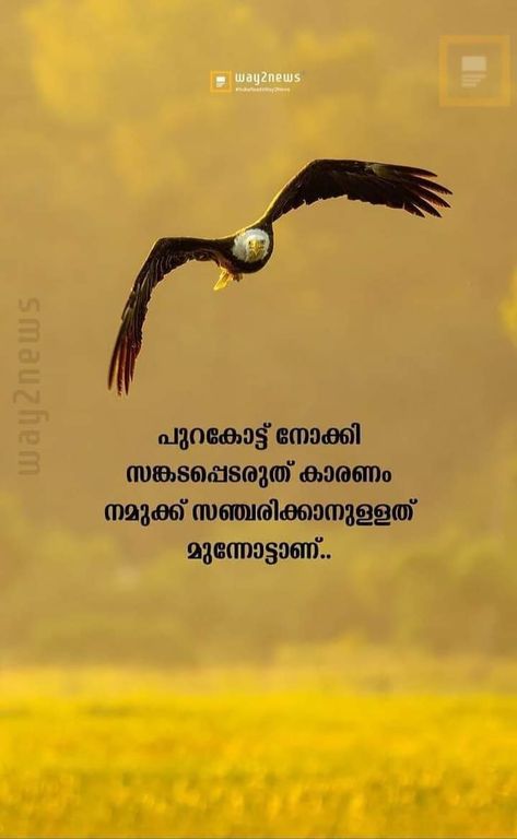 Malayalam Good Morning Quotes, Good Morning Quotes Malayalam, Gd Nt, Better Quotes, Feel Better Quotes, Mary Pictures, Foodie Instagram, Malayalam Quotes, Jesus And Mary Pictures