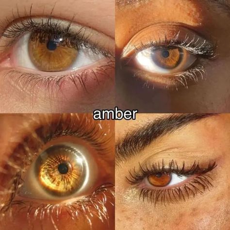 Brown Eye Color Chart, Brown Eyes With Gold Flecks, Pretty Eyes Brown, Dark Amber Eyes, 2 Different Color Eyes, Yellow Eye Color, Down Turned Eyes, Amber Brown Eyes, Chestnut Eyes