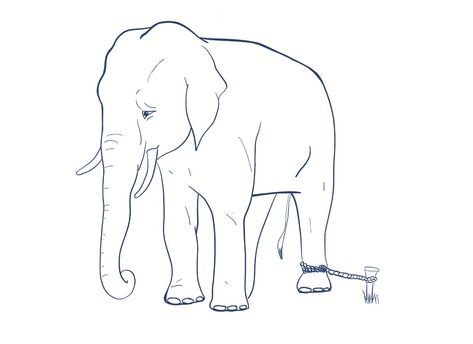 Invisible Chains. Baby elephants are controlled the same… | by Kayla Dhankhar | Metaphorically Speaking | Medium Rope Tattoo, Learned Helplessness, Chain Tattoo, Elephant Illustration, Circus Elephant, Elephant Drawing, Small Elephant, Baby Elephants, In The Zoo