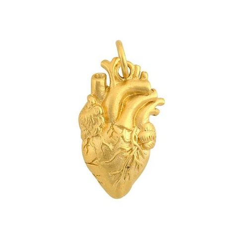 Anatomical Heart Charm Ben Florian, Sensory Seeking, Any Pronouns, Open Me, Png Aesthetic, Gold Aesthetic, Golden Heart, Anatomical Heart, Human Heart