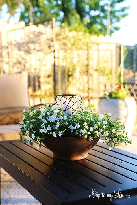 How to make an easy floral outdoor centerpiece luminary  #make #luminary #centerpiece skiptomylou.org Patio Lighting Diy, Porter House, Deck Decor, Porch Accessories, Pinterest Wedding, Diy Flower Pots, Floral Centerpiece, Spring Plants, Planter Ideas