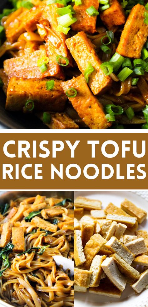 Easy, delicious and quick basil tofu rice noodles. Vegan, gluten free and so simple to make, these rice noodles are coated in the best ever asian style sweet and spicy sauce tossed in lots of fresh basil, garlic & crispy strips of pan fried tofu. #vegan #comforting #rice #noodles #recipe #quick #easy #delicious #tofu #fried #asian #chinese #comfort #dinner #lunch #basil #garlic #drunken #pad #kee #mao #gluten #free #healthy Rice Noodles With Tofu, Rice Noodle Tofu Recipes, Tofu With Rice Noodles, Tofu And Rice Noodles, Tofu With Noodles, Tofu Rice Noodles, Tofu Noodles Recipes, Tofu And Noodles Recipes, Tofu Noodle Recipes