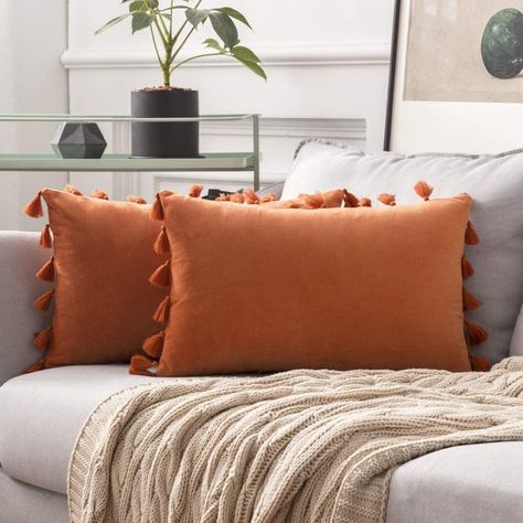 Amazon.com: MIULEE Pack of 2 Velvet Soft Solid Decorative Throw Pillow Cover with Tassels Fringe Boho Accent Cushion Case for Couch Sofa Bed 12 x 20 Inch Orange: Home & Kitchen Pride Diy, Diy Tableware, Candles Fragrance, Halloween Throw Pillow, Fall Throw Pillows, Orange Throw Pillows, Decorative Lumbar Pillows, Amazon Home Decor, Animal Painting