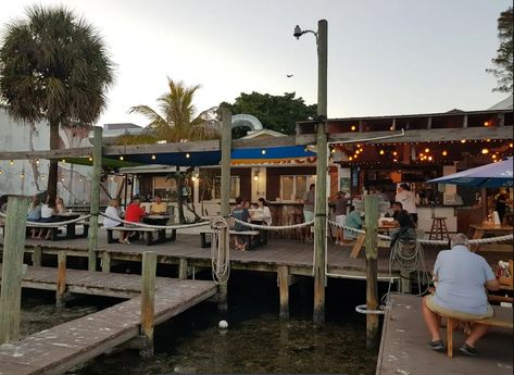 This Age-Old Culinary Jewel In Cortez Village Is Florida's Dining Pioneer Cortez Florida, Fresh Seafood, Hidden Gem, By The Sea, Dining Experiences, The Sea, Seafood, Florida