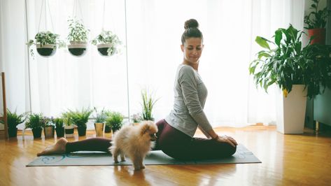 5 Ways to DIY Your Own Yoga Sanctuary at Home. You won't even have to leave home to achieve that same sense of bliss you get in your favorite yoga studio. Home Yoga Studio Design, Home Yoga Studio, Yoga Sanctuary, Home Yoga Room, Diy Yoga, Yoga Studio Design, Home Yoga, Yoga Space, Yoga Iyengar