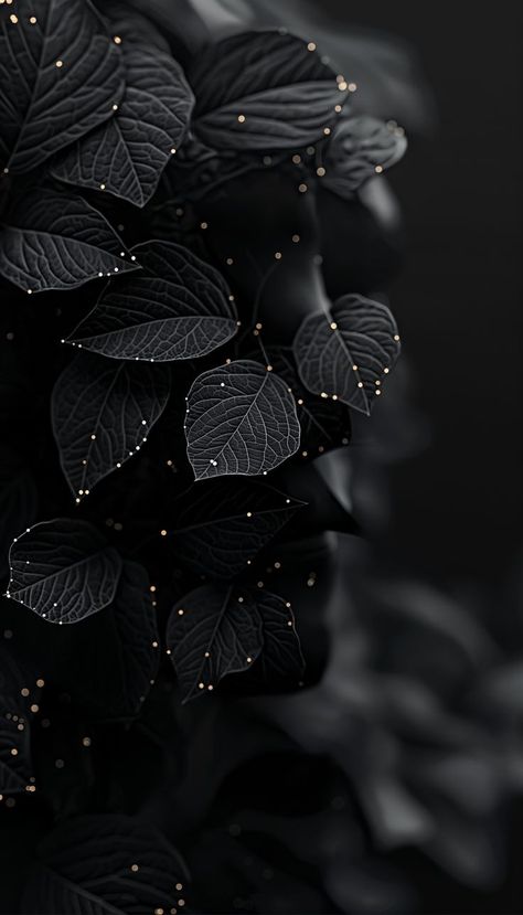 Beautiful Dark Background, Best Dark Wallpapers Hd, Wallpaper For Phone Black, Wallpaper Black Dark, Black Flowers Aesthetic, Dark Background Images, Dark Wallpapers Aesthetic Iphone, Dark Abstract Wallpaper, Dark Wallpaper Phone