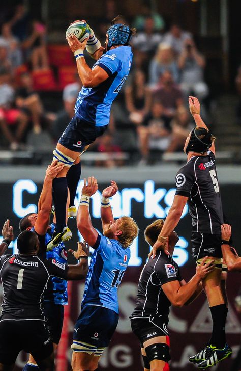 Blue Bulls Rugby Image, Blue Bulls Rugby, Victor Matfield, Rugby Images, South African Rugby, Rugby Team, South African, Rugby, Quick Saves