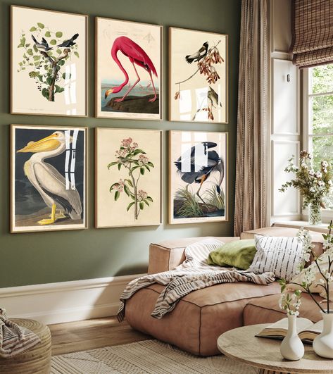 "* THIS COLLECTION: Six beautiful illustrations featuring John James Audubon posters.   Or view our full range of iconic paintings here: https://etsy.me/2G7OK0A * PLEASE NOTE: All our prints come UNFRAMED and any frame in the images above is for display purposes only so you can get a feel for how it might look on your wall. * CUSTOM REQUESTS: We can often customise our designs. Contact us any time to discuss options. * PAPER: All our prints come on the highest quality art papers and are produced with a full range of 12 pigment inks so they will maintain their vibrant colours for decades to come. A quick explanation of our different paper stocks will follow: Glossy finishes are like what you would get with a photograph. Very reflective and very bright colours. Lustre is a beautiful finish w Bird Illustration Print, Audubon Prints, John Gould, Vintage Bird Illustration, Prints Vintage, Art Tropical, John James Audubon, Vintage Bird, Bird Wall Art