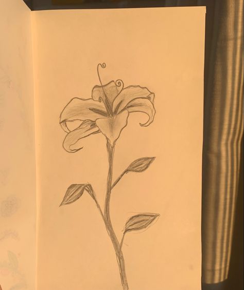 the flower from the movie rapunzel. a pencil sketch in a white sketchbook that appears yellowish because of the sunlight:) 6 petals, three leaves!! Arte Do Ukulele, Rapunzel Sketch, Rapunzel Drawing, Flower Art Drawing, Meaningful Drawings, Flower Sketches, Easy Doodles Drawings, Easy Drawings Sketches, Arte Sketchbook