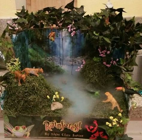 Tropical rainforest Diorama Rainforest Model Projects, Rain Forest Projects For Kids, Rainforest Shoebox Project, Amazon Rainforest Diorama, Rainforest Diaroma, Rainforest Diorama Shoebox For Kids, Rainforest Biome Shoebox Project, Tropical Rainforest Project, Tropical Rainforest Biome Project