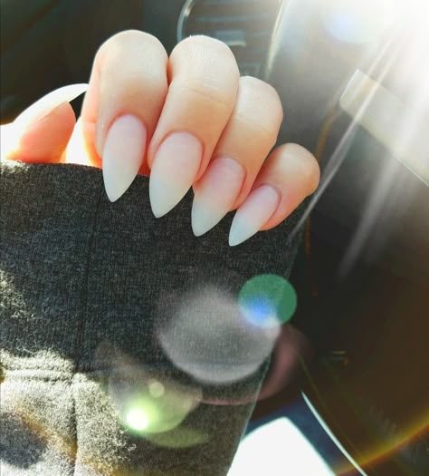 Pointy Oval Nails, Pointed Almond Acrylic Nails, Short Stilleto Nails Neutral, Stilettos Nails Short, Small Stelito Nails, Medium Stelito Nails, Wedding Nails Pointy, Almondetto Nails Designs, Short Stiletto Nails Summer