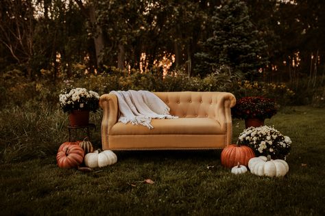 1 Year Pictures, Photography Studio Decor, Fall Minis, Mini Couch, Autumn Family Photography, Photography Mini Sessions, Family Portrait Poses, Fall Mini Sessions, Fall Mini