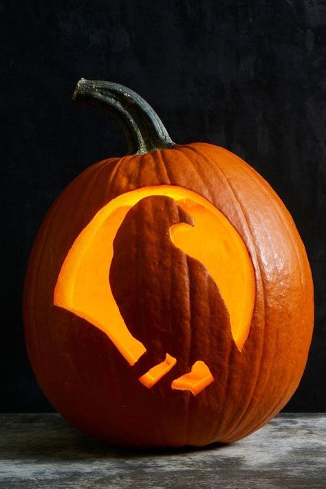 diy outdoor halloween decorations crow Raven Jack O Lantern, Crow Jack O Lantern, Cute Jack O Lantern Ideas, Raven Pumpkin Carving, Pretty Pumpkins Carving, Jack A Lantern, Pumpkin Designs For Halloween, Funny Pumpkin Faces, Pumpkins Carving