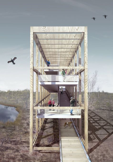 The winning ideas of the Kemeri National Park Observation Tower Competition Observation Tower Architecture, Observation Tower, Old Abandoned Houses, Bridge Building, Old Mansions, Pond Design, Architecture Graphics, Unusual Homes, Architecture Concept Drawings