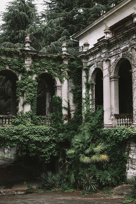 Overgrown Castle Aesthetic, Overgrown Nature, Manor Aesthetic, Green Academia, Enchanted Castle, Castle Aesthetic, Nature Architecture, Dark Green Aesthetic, Fantasy Aesthetic