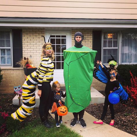 Family costume- Caterpillar, Chrysalis, Monarch butterfly’s Insect Family Halloween Costumes, Monarch Caterpillar Costume, Bug Family Halloween Costumes, Insect Family Costumes, Catapiller Costume, Bug Family Costume, Family Bug Costumes, Garden Family Costume, Butterfly Family Costume