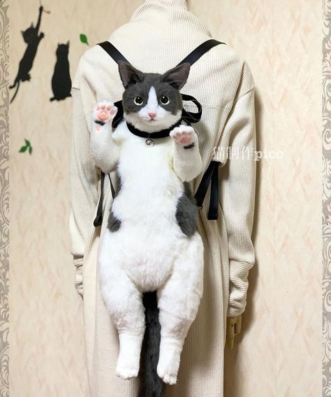 "Cat-Maniac" Designer From Japan Creates Super Realistic Cat Backpack - I Can Has Cheezburger? Cat Handbags, Animal Backpacks, Metal Shirts, Cat Backpack, Fur Bag, Cat Fashion, Cat Bag, Cat Family, Cute Plush