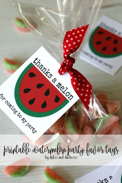 Cocomelon Birthday Party Favors, Watermelon Birthday Party Food, Watermelon Party Food Ideas, Fruit Bday Party Ideas, One In A Melon Party Ideas, Watermelon Piñata, Watermelon Bridal Shower Ideas, Watermelon Bday Party, Watermelon Food Art