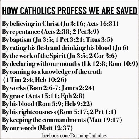 Catholic Theology, Catholic Answers, Catholic Doctrine, Catholic Memes, Catholic Beliefs, Catholic Education, Science Quotes, Catholic Bible, Catholic Family