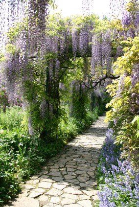 Wisteria Garden, Courtyard Gardens Design, Garden Vines, Backyard Pergola, Stone Path, 수채화 그림, Garden Pathway, Romantic Garden, Courtyard Garden