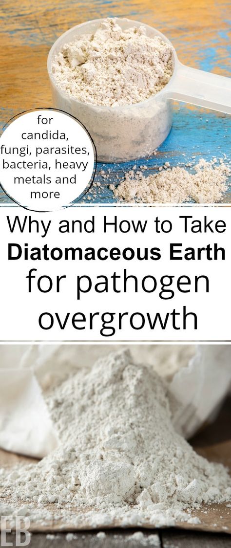 Candida overgrowth is an epidemic in our modern times, due in part to the overuse of antibiotics, birth control, steroids, hormone replacement therapy, over-consumption of sugar and stress. What we do internally with supplements like diatomaceous earth is pivotal to getting well. || Eat Beautiful | candida | DIY remedy | herbal | diatomaceous earth | #diatomaceousearth #candida Diatomaceous Earth Food Grade, Candida Overgrowth, Gaps Diet, Natural Health Care, Diy Remedies, Natural Sleep Remedies, Diatomaceous Earth, Natural Healing Remedies, Birth Control