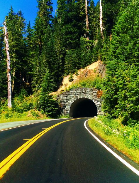 Tunnel on Chinook Pass Highway on a Mt Rainier National Park road trip: stop at Silver Falls Blender Room, Ink Reference, Road Tunnel, Luxury Island, Background Quotes, Mt Rainier National Park, Train Table, Silver Falls, National Park Road Trip