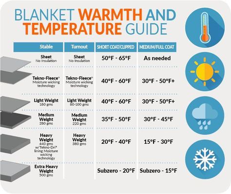 Horse Blanketing 101 - Schneider's Learning Center Horse Blanket Pattern, Horse Ownership, Mentor Program, Horse Blanket, Winter Horse, Temperature Blanket, Horse Info, Types Of Horses, Horse Diy