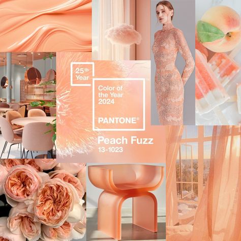 Brow Room, Engagement Party Guest, Apricot Crush, Pantone 2024, Pantone Wedding, Peach Design, Peach Blush, Guest Attire, Cute Bedroom Decor