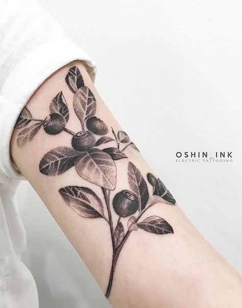 Oshin ink blueberry tattoo Blueberry Blossom Tattoo, Blueberry Outline Tattoo, Blueberry Tattoo Design, Blueberry Leaf Tattoo, Blueberry Vine Tattoo, Black And Grey Blueberry Tattoo, Blueberry Tattoo Black And White, Blueberry Branch Tattoo, Blueberry Bush Tattoo