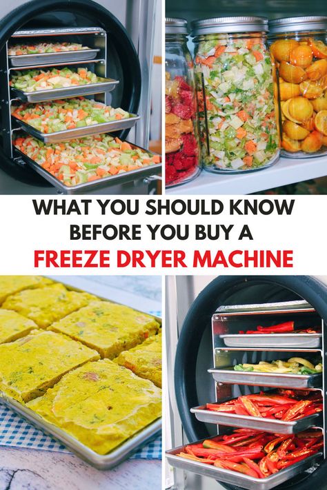 Various foods being preserved using a freeze dryer machine, showcasing the process and results of freeze drying for long-term food storage. Food Dryer Recipes, Freeze Drying Ideas, Freeze Dryer Machine, Freeze Dryer Setup, Freeze Dryer Ideas, Harvest Right Freeze Dryer Recipes, Freeze Dryer Recipes, Freeze Drier, Homestead Lifestyle