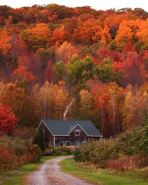 Vermont House Aesthetic, Beige Pantone, Fall Cabin, Fall Scenes, Vermont House, Study Painting, Autumn Photos, Scenic Nature, Happy Accidents