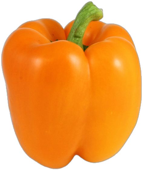 Orange Bell Pepper, Fresh Orange, Bell Pepper, Stuffed Bell Peppers, Peppers, Buy Online, In Store, Stuffed Peppers, Google Search