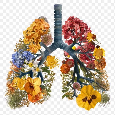 Lungs And Flowers, Lungs With Flowers, Flower Lungs, Floral Lungs, Lungs Art, Tattoo Dream, Human Lungs, Dream Ideas, Png Flower