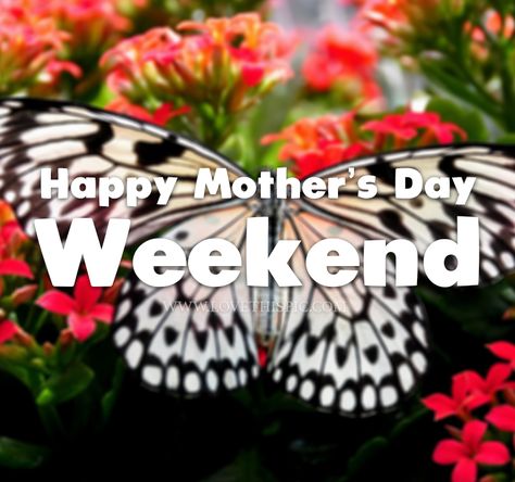 Happy Mother's Day Weekend, Happy Mothers Day Quotes, Paper Kite, The Paper Kites, Mom In Heaven, Mothers Day Images, Happy Mother Day Quotes, Mothers Day Weekend, I Love You Gif