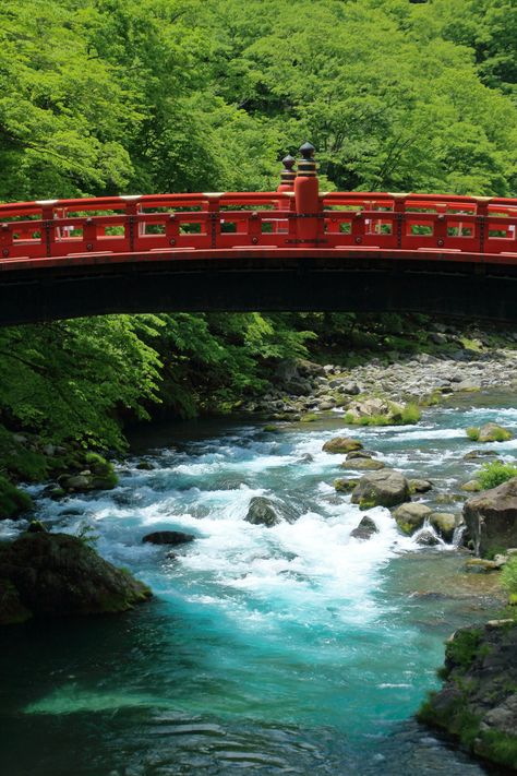 NIKKO TOSHOGU SHRINE Shinkyo Bridge 神橋 Toshogu Shrine, Japanese Travel, Tokyo 2020, Nikko, Beautiful Smile Women, Beautiful Smile, Tokyo, Bridge, Japan