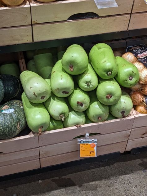 Display of long squash (aka opo squash, hyotan squash, bottle gourd) in grocery store Chinese Squash Recipes, Long Squash Recipes, Asian Squash Recipe, Opo Squash Recipes, Opo Squash, Tinola, Authentic Asian Recipes, Bottle Gourd, Squash Recipe