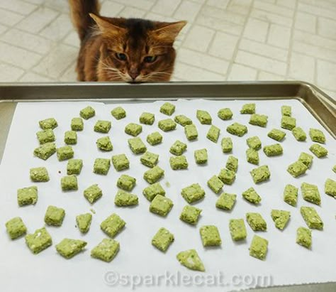 I may have stolen one of these before they went in the oven Cat Treat Recipes Easy, Cat Business Ideas, Cat Treats Homemade Easy, Cat Treats Homemade Healthy, Cat Recipes Treat, Chicken Cat Treats Homemade, Gelatin Cat Treats, Diy Cat Treats Recipes, Dehydrated Cat Treats Recipes