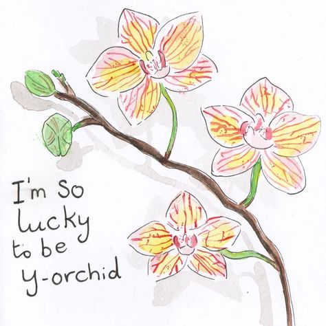 Hope all mothers who celebrated mother's day yesterday had a lovely day. --- This is the card I made for my mum of an orchid plant and the pun "I'm so lucky to be y-orchid." Painted with watercolours and fine liner. ---- #mothersday #motheringsunday #orchid #houseplant #pun #greetingscarddesign #cardillustrator #painting #watercolourillustration #charlotsart #flowers Mum Drawing, Watercolour Orchid, Orchid Drawing, Orchids Painting, I'm So Lucky, Mothering Sunday, Orchid Plant, Card Inspo, Im So Lucky