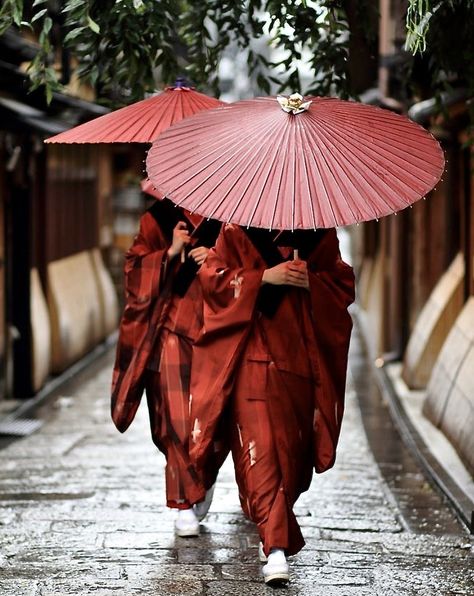 red Japanese umbrella and kimono Japanese Umbrella, Red Kimono, Memoirs Of A Geisha, Umbrella Art, Red Umbrella, Japan Woman, Japan Aesthetic, Aesthetic Japan, Japanese Aesthetic