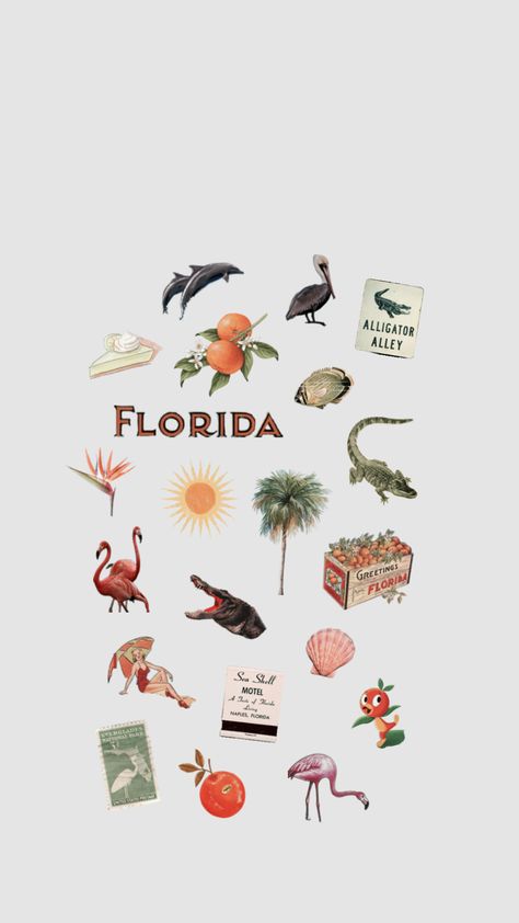 Old florida vibes Florida Stickers Aesthetic, Florida Wallpaper Iphone, Old Florida Aesthetic, Florida Symbols, Vintage Florida Aesthetic, Florida Background, Florida Collage, Fl Aesthetic, Vintage Florida Wedding