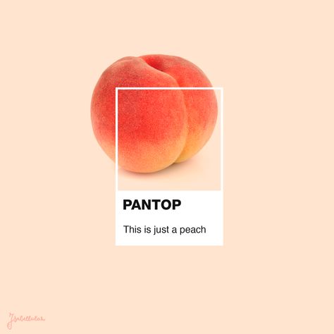 pantop-isabella-montan-15 Pantone Design Graphics, Culture Inspiration, Pantone Palette, Color Pantone, Pantone Colour Palettes, Peach Aesthetic, Colour Pop, Pantone Color, Graphic Design Posters