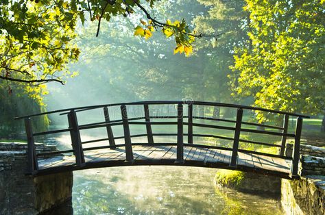 Wooden Bridge Garden, Bridge Over Creek, Composite Deck Cleaner, Outdoor Bridges, Wooden Bridge, Dark Pictures, Diy Garden Projects, Composite Decking, Wood Deck