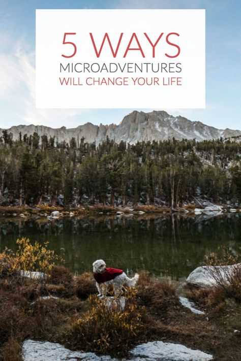 5 Ways Microadventures Will Change Your Life Micro Adventure, Mini Adventures, Adventurous Lifestyle, Beginner Hiking, Relax Lifestyle, Adventure Life, Adventure Inspiration, Adventure Travel Explore, Wild Adventures