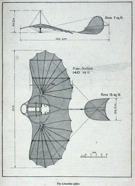 THE FLYING MACHINE: AMERICA 1948 A.D. Flying Machine Da Vinci, Batman History, Water Pavilion, Balsa Wood Models, Hang Glider, Wooden Toys Design, Steampunk Airship, Flying Machine, Wounded Warrior Project