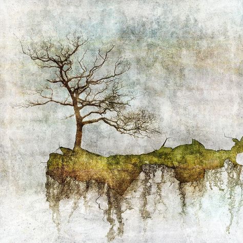 Mark Munroe-Preston - N50.8980 W0.1011 Brown Grunge, Manipulated Photography, Tree Growing, Picture Tree, South Downs, Sussex England, Tree Winter, Green Texture, Encaustic Art