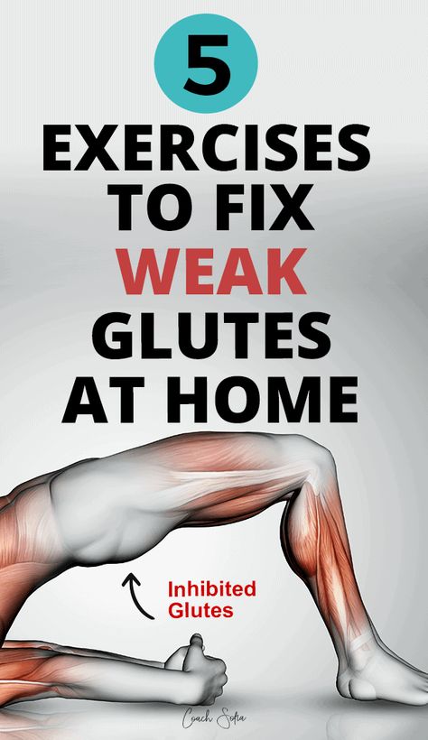 5 gluteus maximus exercises to strengthen glute max weakness. Glutes Anatomy, Gluteus Workout, Upper Body Home Workout, Weak Glutes, Glute Strengthening, Gluteus Maximus, Lower Back Pain Exercises, Glute Activation, Gluteus Medius